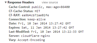 Screenshot of static response headers